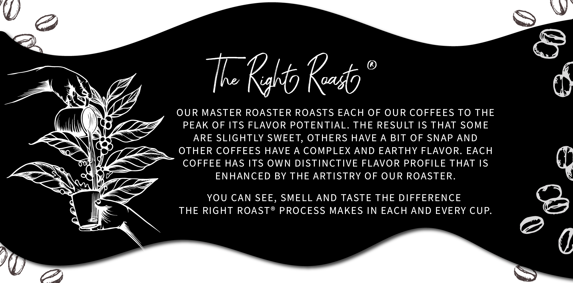 Our master roaster roasts each of our coffees to the peak of its flavor potential. The result is that some are slightly sweet, others have a bit of snap and other coffees have a complex and earthy flavor. Each coffee has its own distinctive flavor profile that is enhanced by the artistry of our roaster.