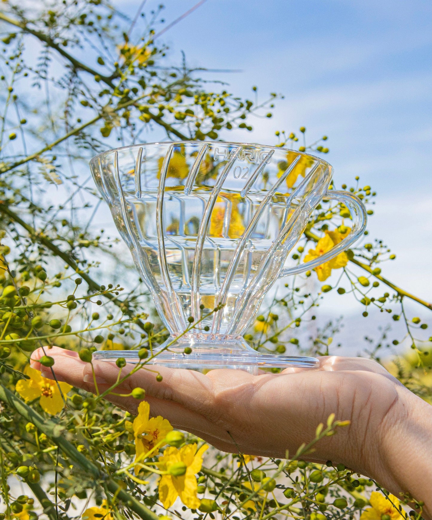 Hario USA Dripper V60 Plastic Coffee Dripper 02 Classic