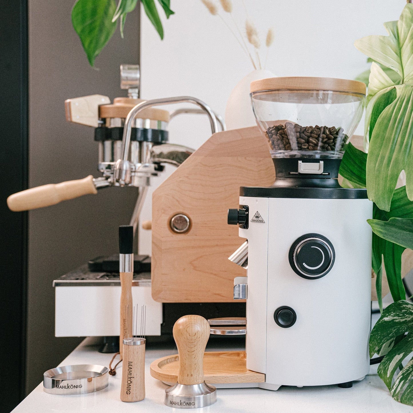 Mahlkönig USA Home Barista Tools Mahlkönig Distribution Tool, Beech