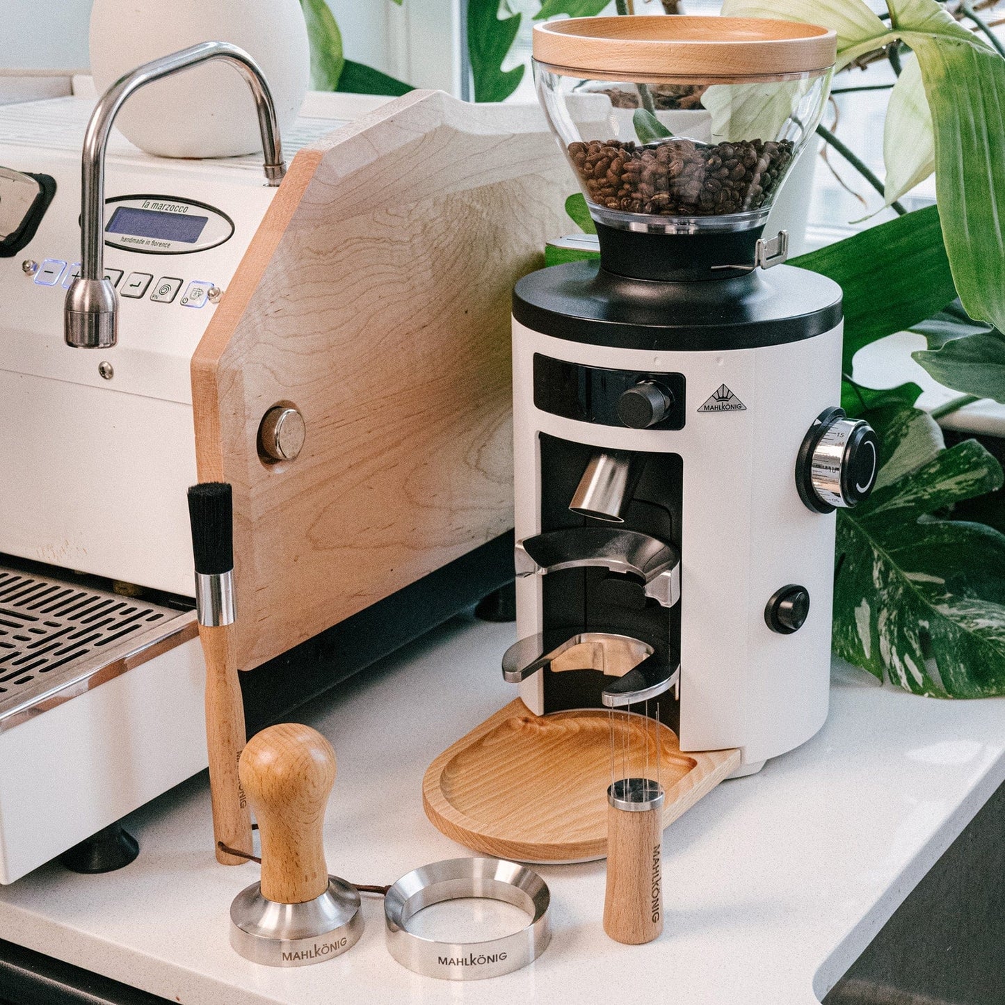 Mahlkönig USA Home Barista Tools Mahlkönig Tamper, Beech