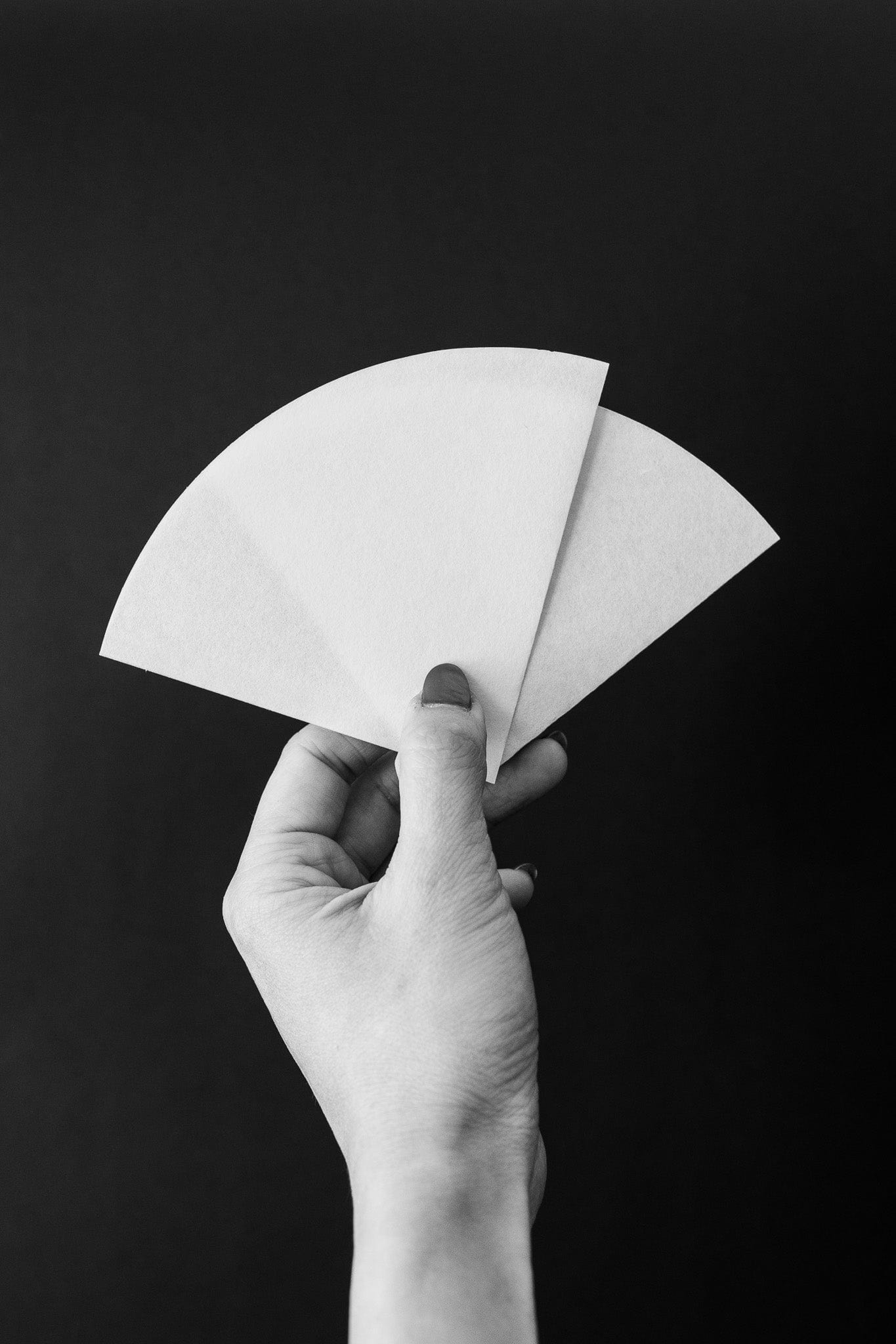 Slow Pour Supply Paper Filter SIBARIST graycano Special Edition Fast Cone Filter