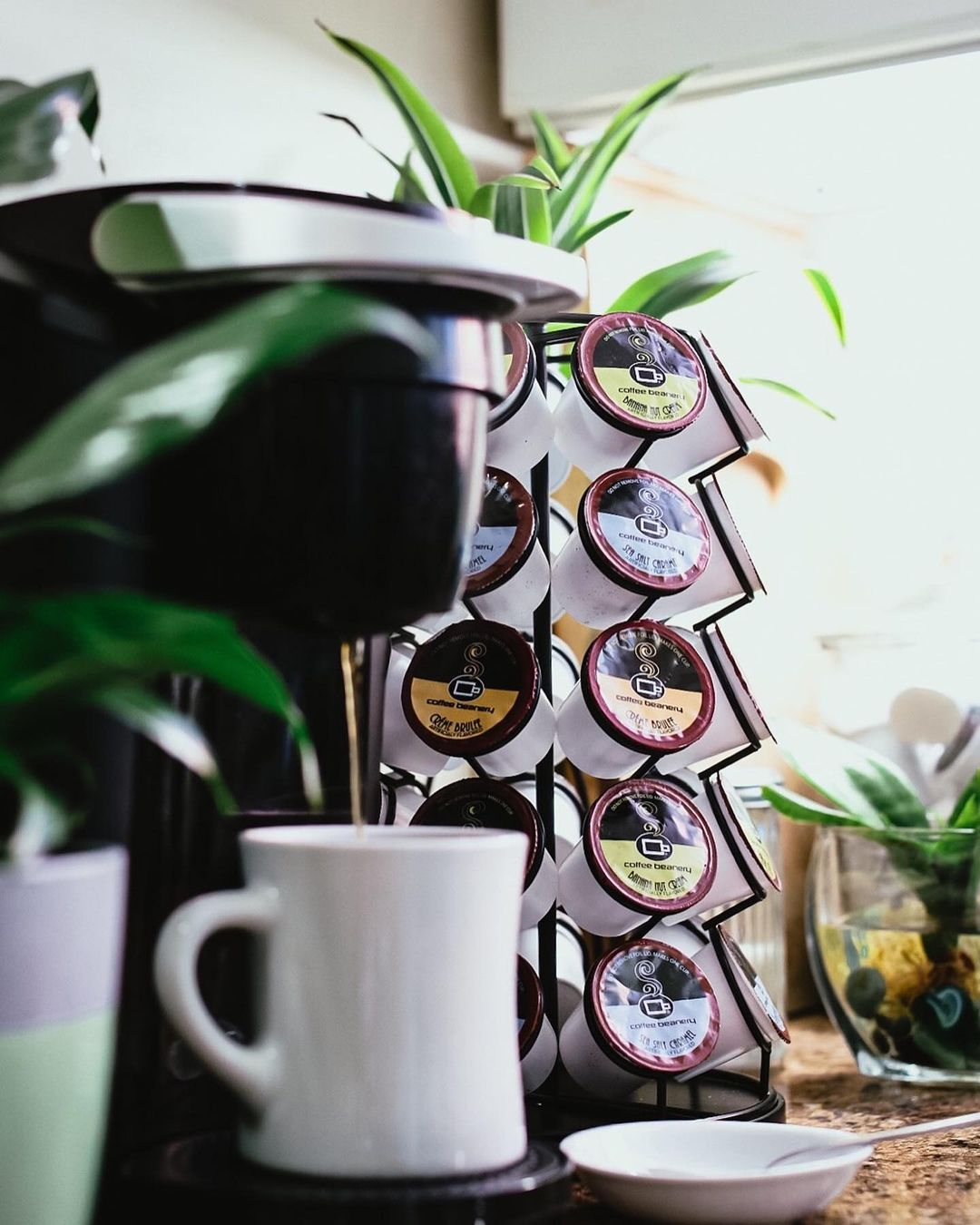 Coffee Beanery Coffee Pods