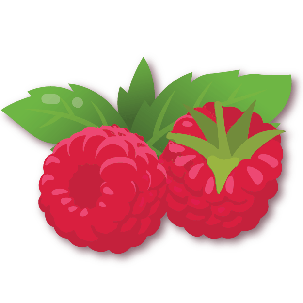 Image of Oz Icon Tasting Notes for Raspberry.