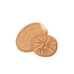 Tasting_Notes_Nutmeg