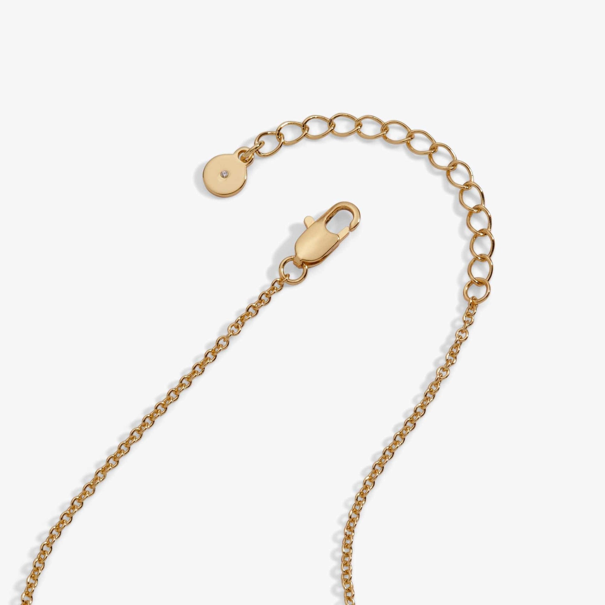 ALEX AND ANI Necklaces Tri-Tone Coffee Bean 'Happiness, Wealth, Health' Engraved Pendant Necklace