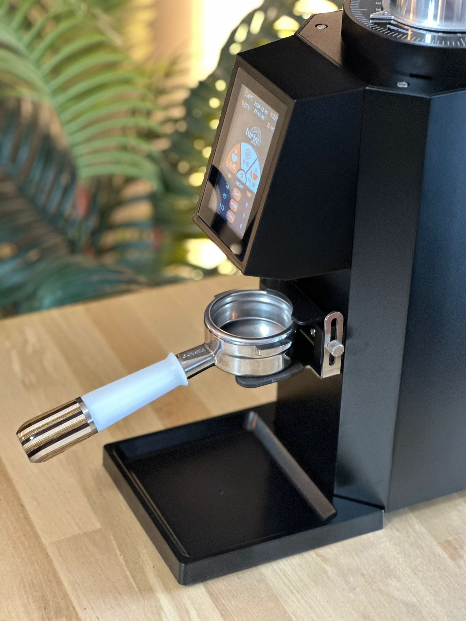 Espresso Outlet LLC Commercial Espresso Grinder Black with DLC Turin ZF83 Commercial Espresso Grinder