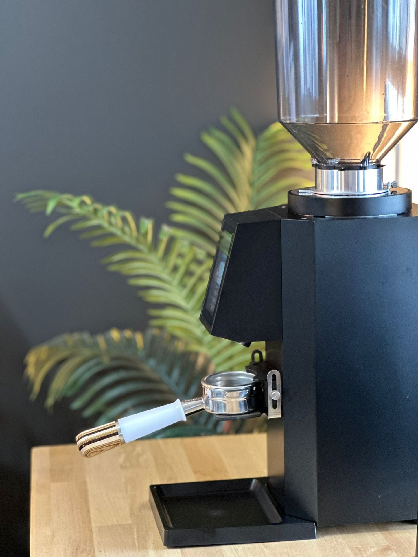 Espresso Outlet LLC Commercial Espresso Grinder Black with DLC Turin ZF83 Commercial Espresso Grinder