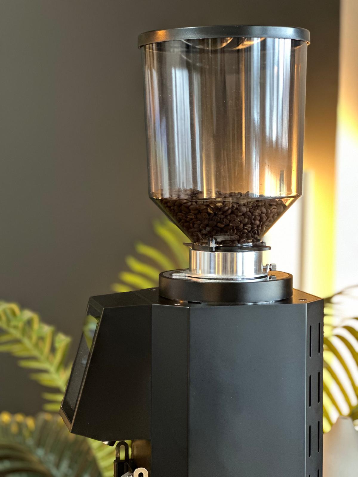 Espresso Outlet LLC Commercial Espresso Grinder Black with DLC Turin ZF83 Commercial Espresso Grinder