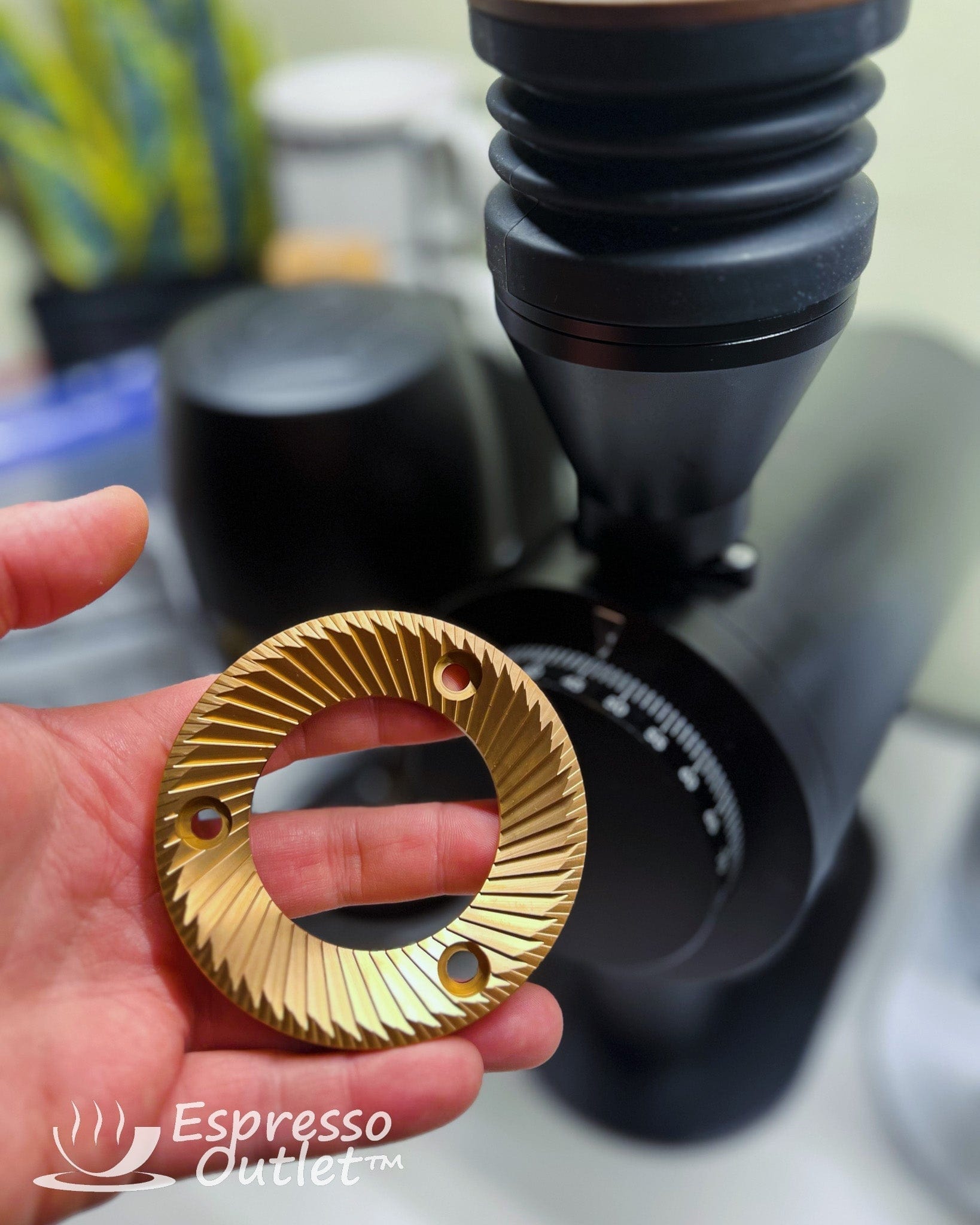 Espresso Outlet LLC Turin DF83 SSP Unimodal MP (Multi Purpose) Burr Set Upgrade